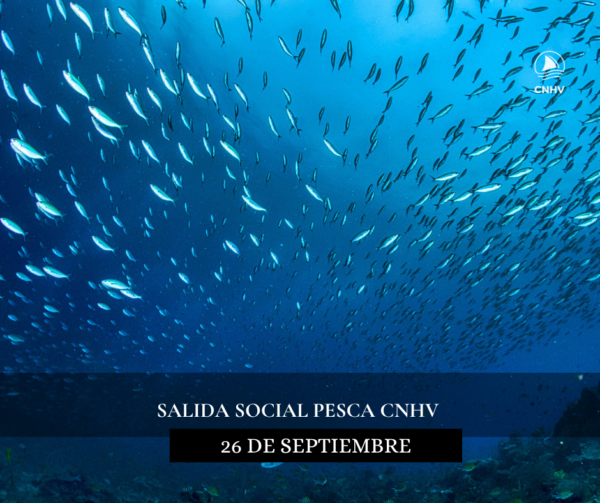 Selectivo Individual Camp Cataluña Fotosub (300 x 300 px) (Post de Facebook) (2)